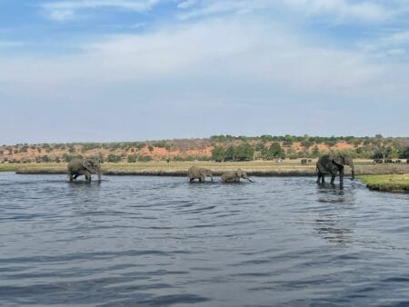 Namibia Botswana Simbabwe Rundreise | Vögele Reisen
